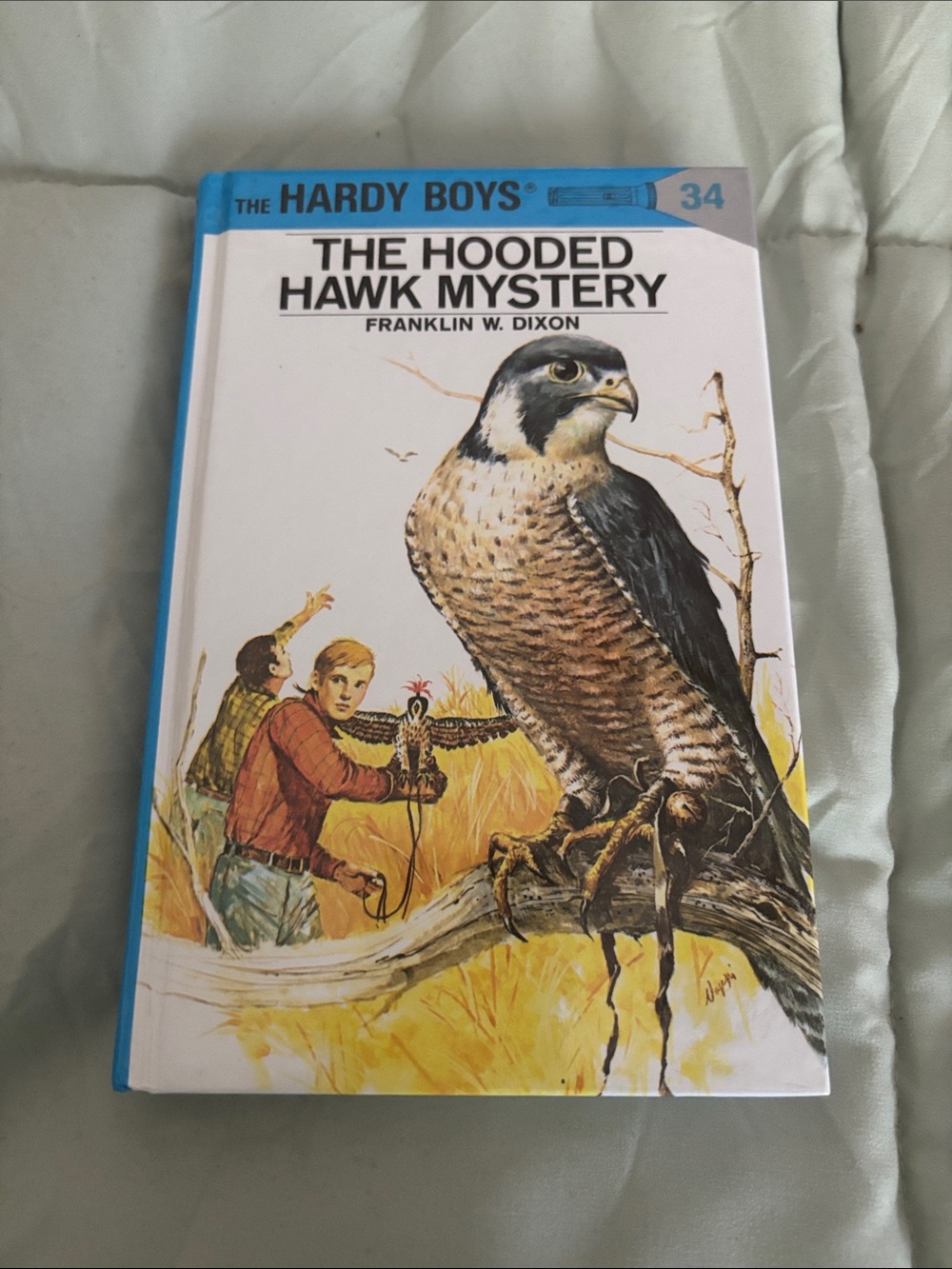 The Hooded Hawk Mystery - Blue Hardcover (Brand: ). #34